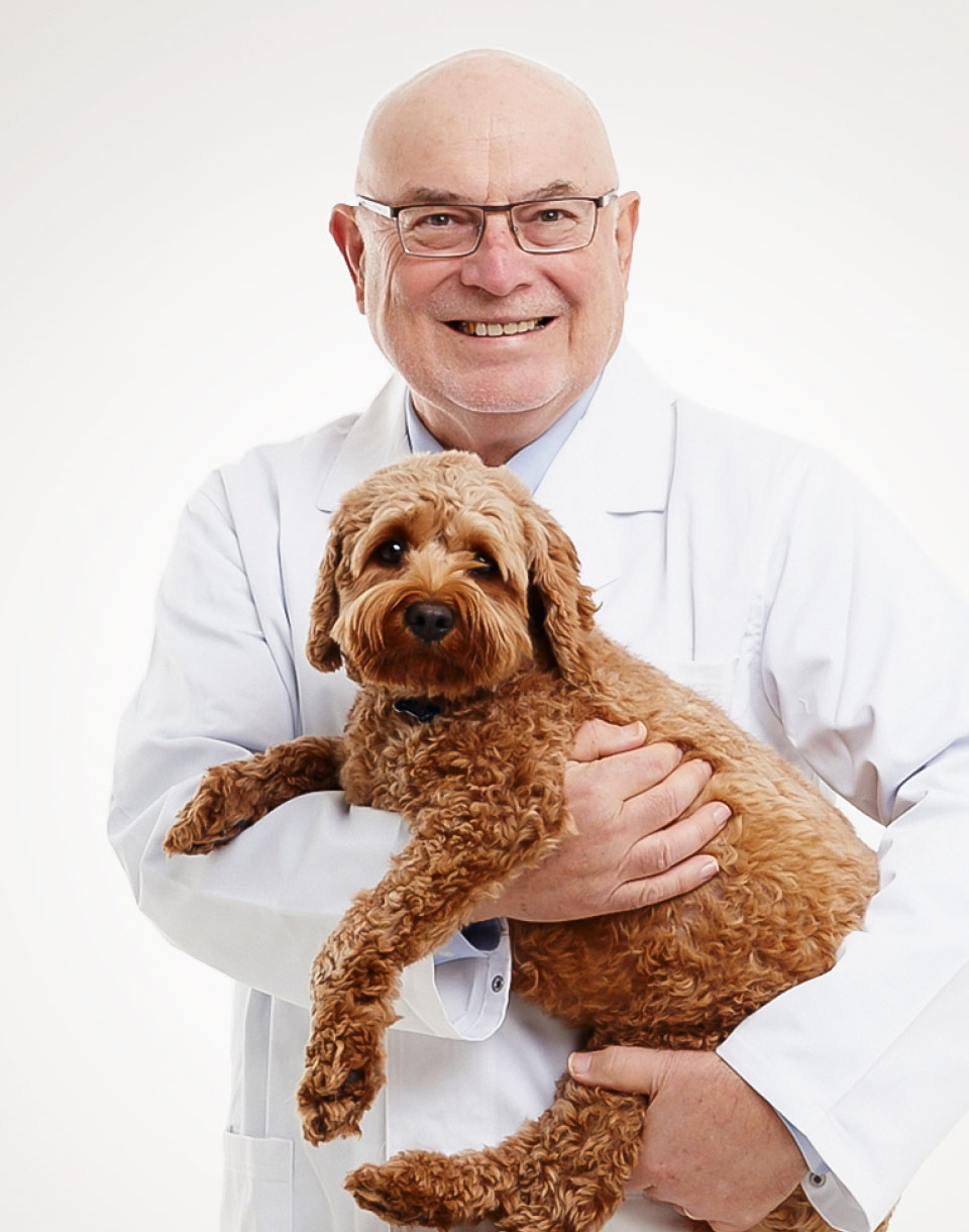 Advanced Pet Care | The science behind the brands